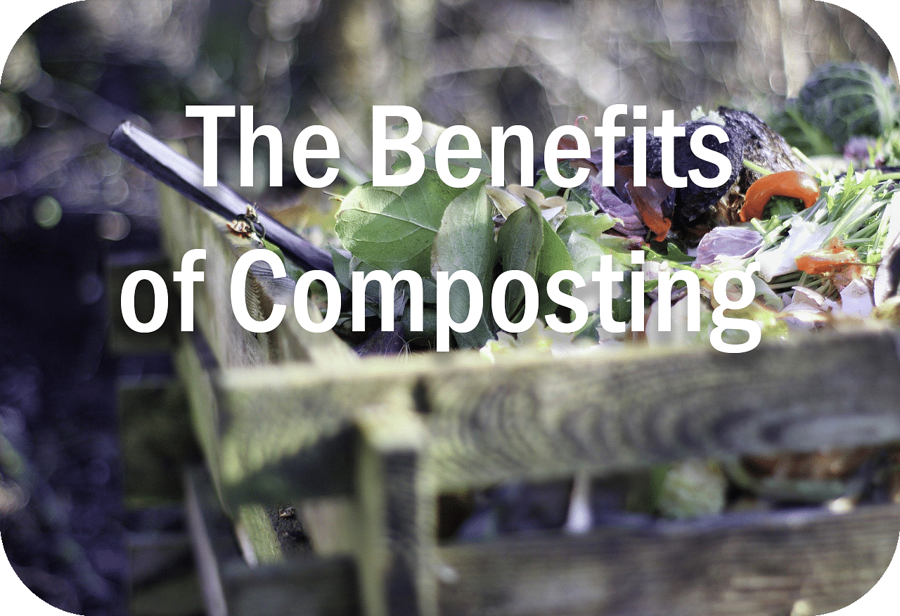 the benefits of composting header image