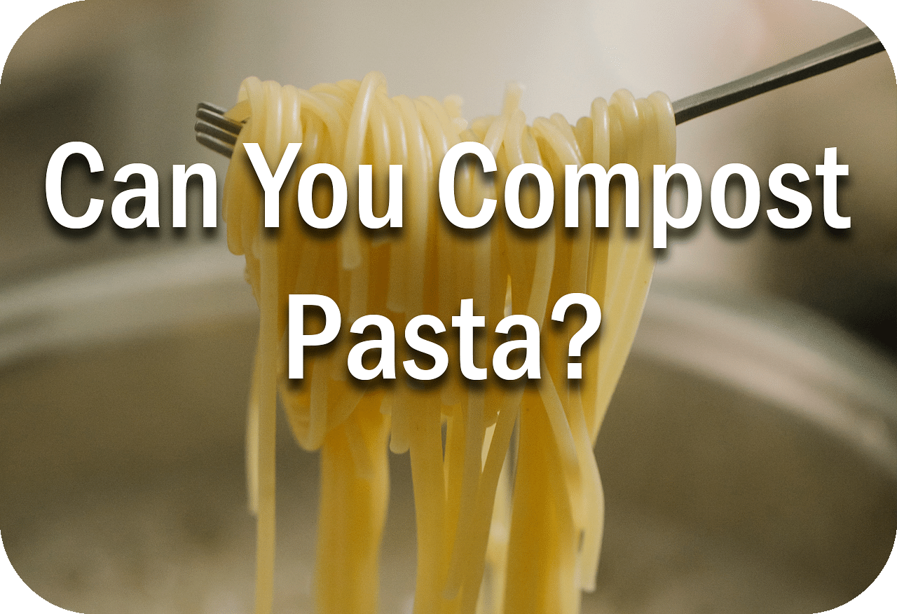 Can You Compost Pasta Header Image