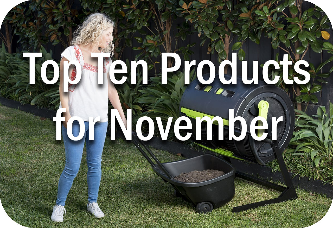 Top Ten Product Picks for October Header Image