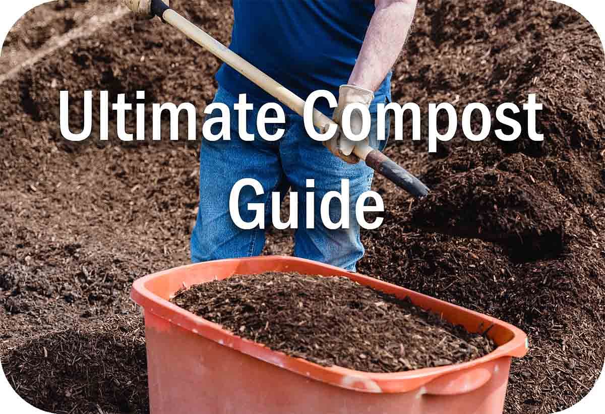 Your Ultimate Guide to Compost Header Image