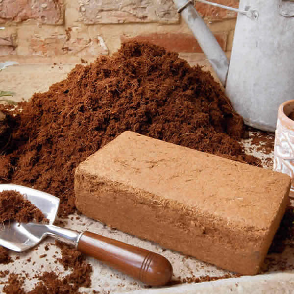 Image of Coir Block for Wormery Bedding - 650 grams