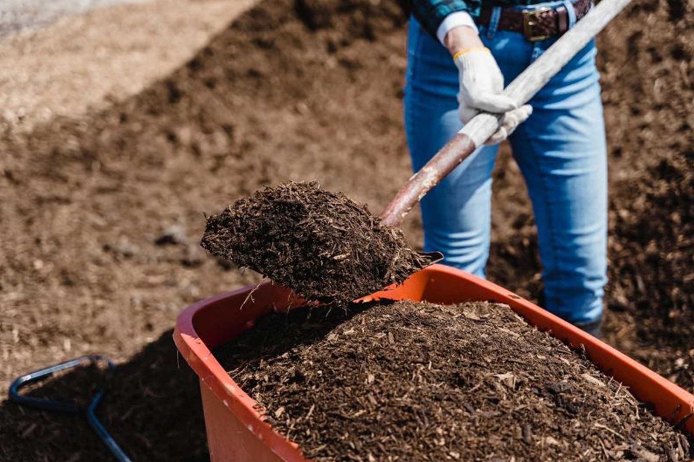 Your Ultimate Guide to Compost