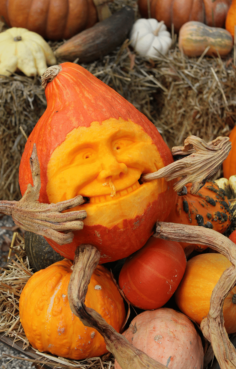 funny pumpkin harvesting tips